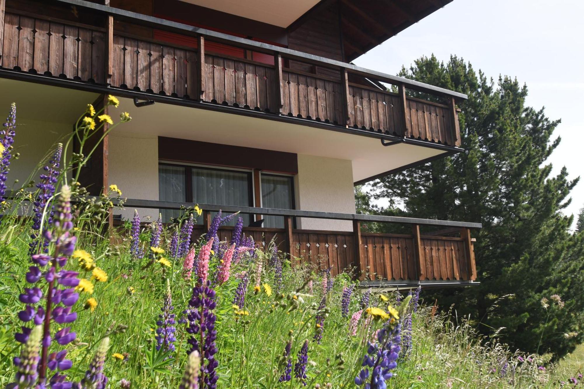 Chalet Christina 7 Ароса Екстериор снимка